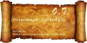Ostermayer Tulipán névjegykártya